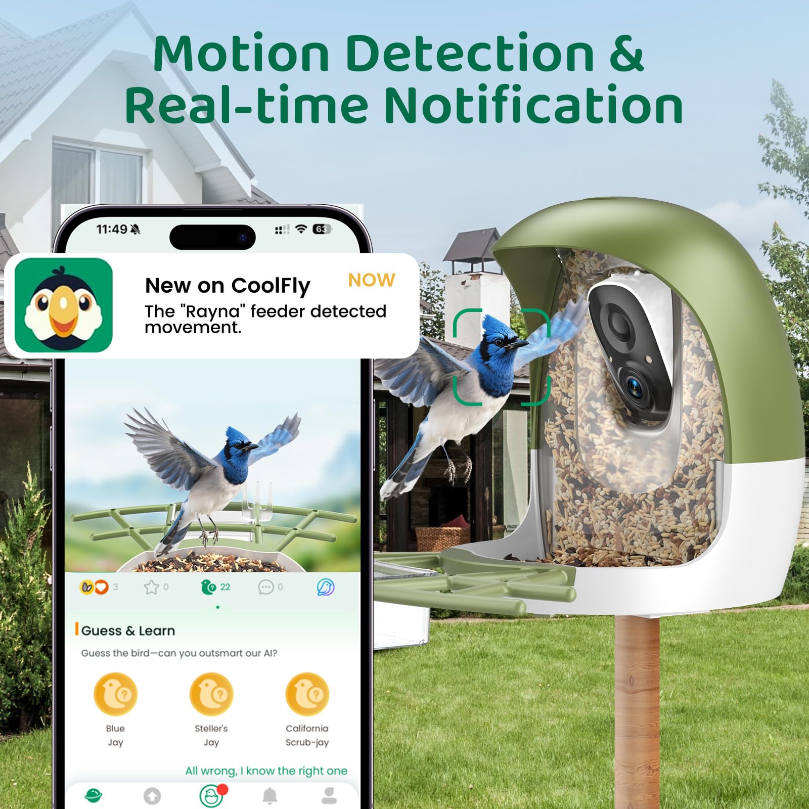 HIXX Smart Bird Feeder live 2K video on phone for real-time visits