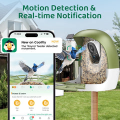 HIXX Smart Bird Feeder live 2K video on phone for real-time visits