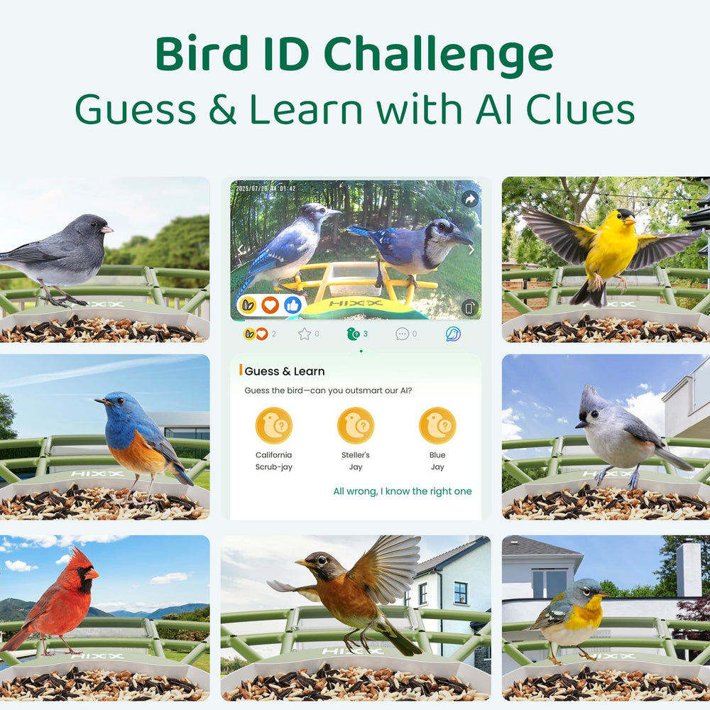 HIXX Multi-view sharing lets family watch real-time birds together