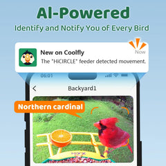HIXX solar-powered battery keeps outdoor birdwatching powered longer.