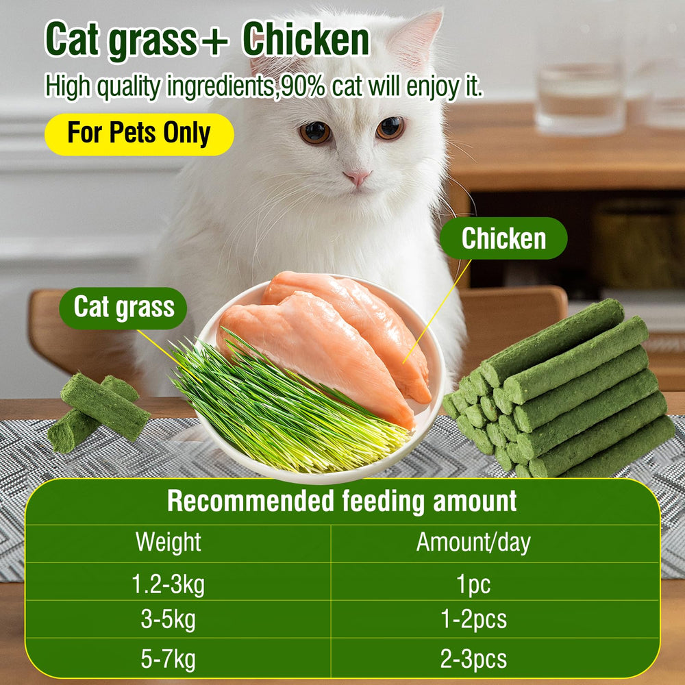 Hkpetie cat grass teething stick chicken flavor closeup emphasizes tasty reward that supports oral cleaning