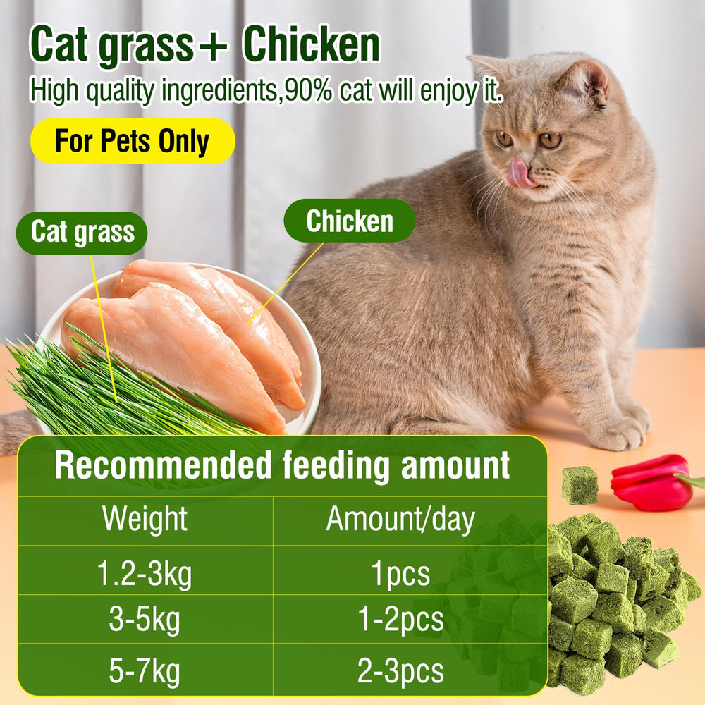 Hkpetie cat grass teething stick closeup reveals real chicken and fresh grass aroma.