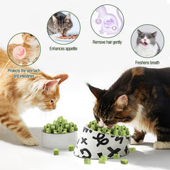 Hkpetie cat grass teething stick closeup shows bite-sized shape for easy chewing.