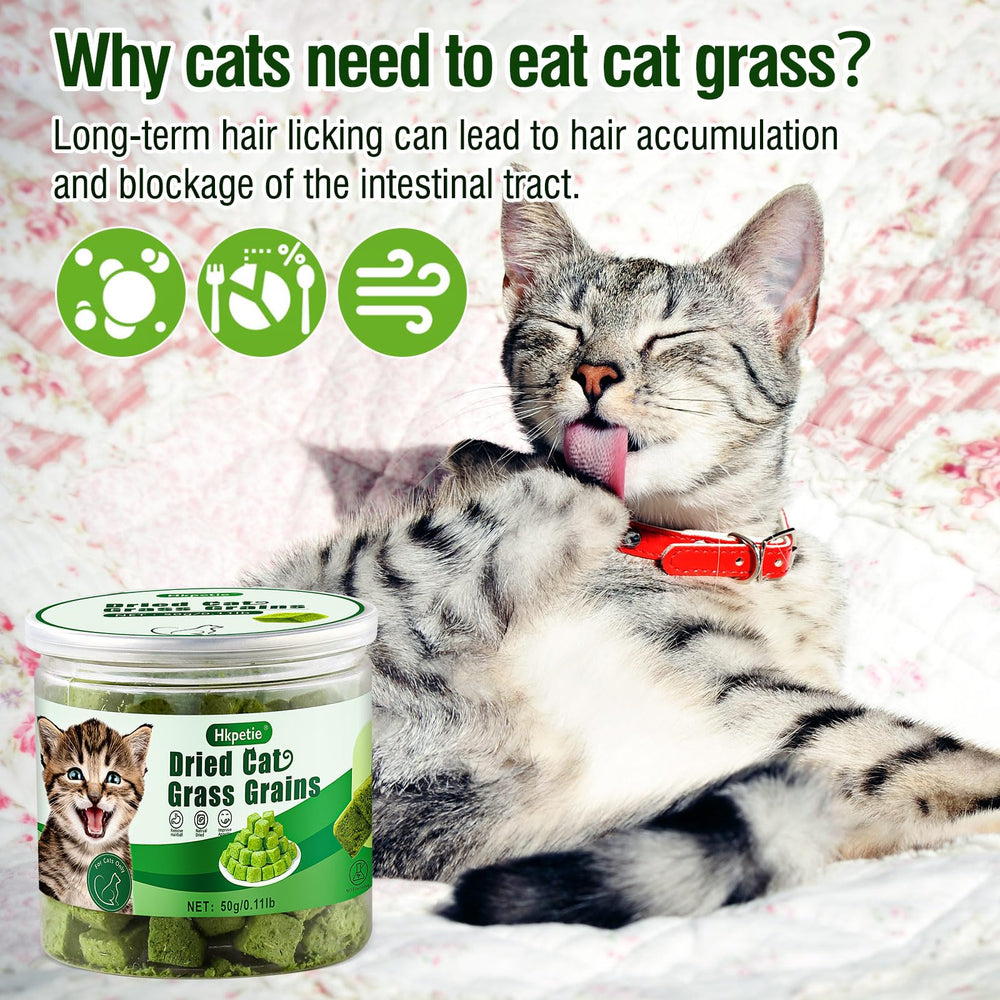 Hkpetie cat grass teething stick dental health closeup suggests plaque reduction potential.