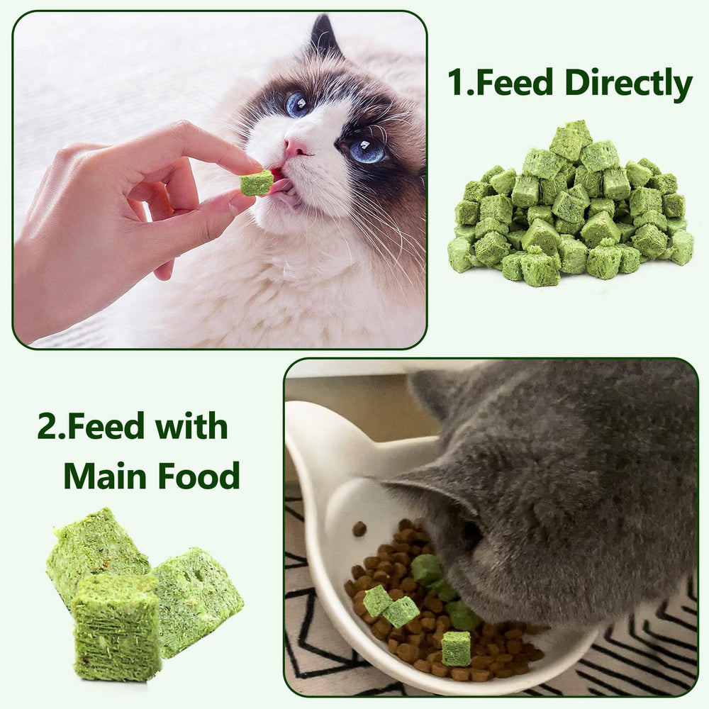 Hkpetie cat grass teething stick cat enjoying treat suggests mood and energy boost.
