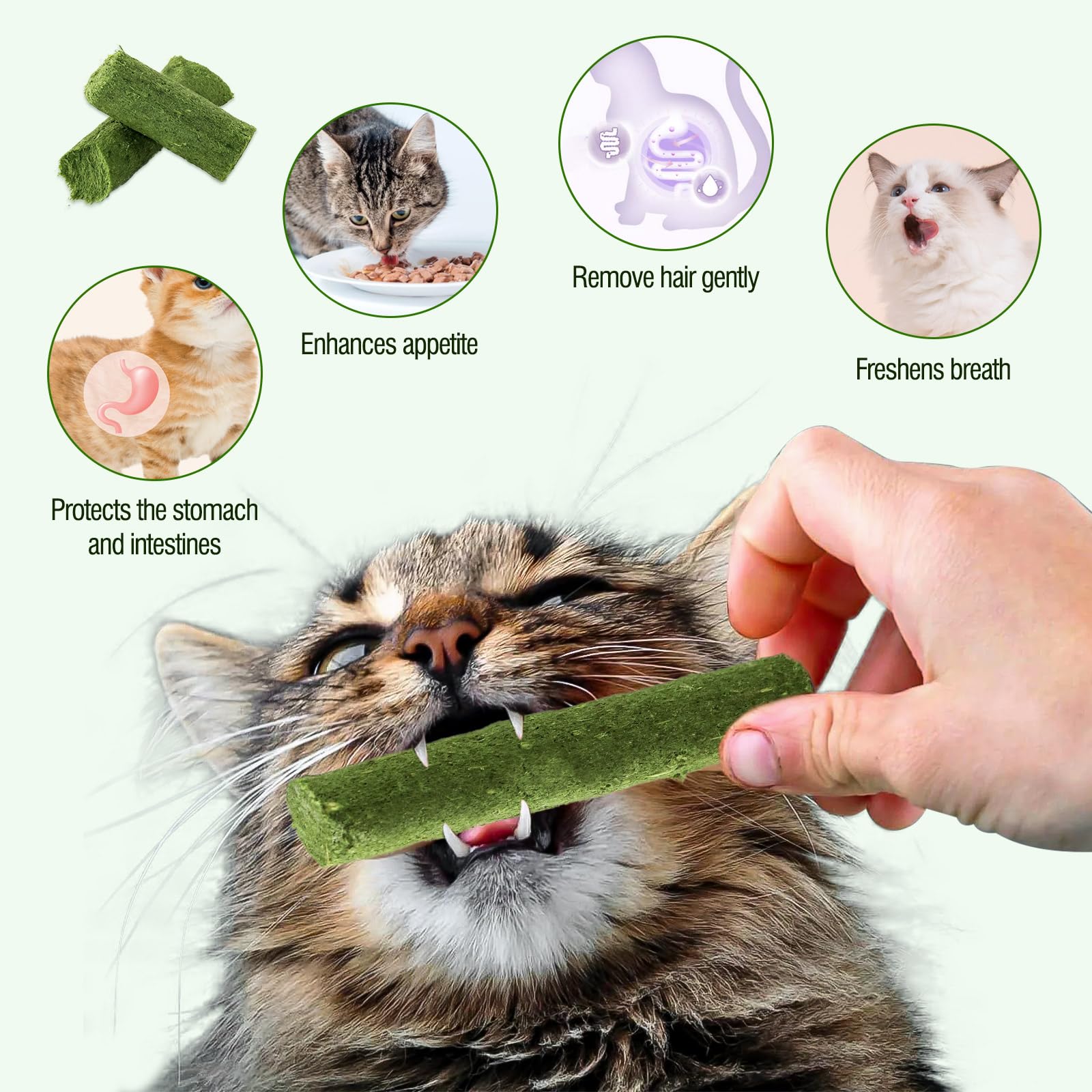 Hkpetie cat grass teething stick grass flake closeup highlights natural ingredients and plant fibers
