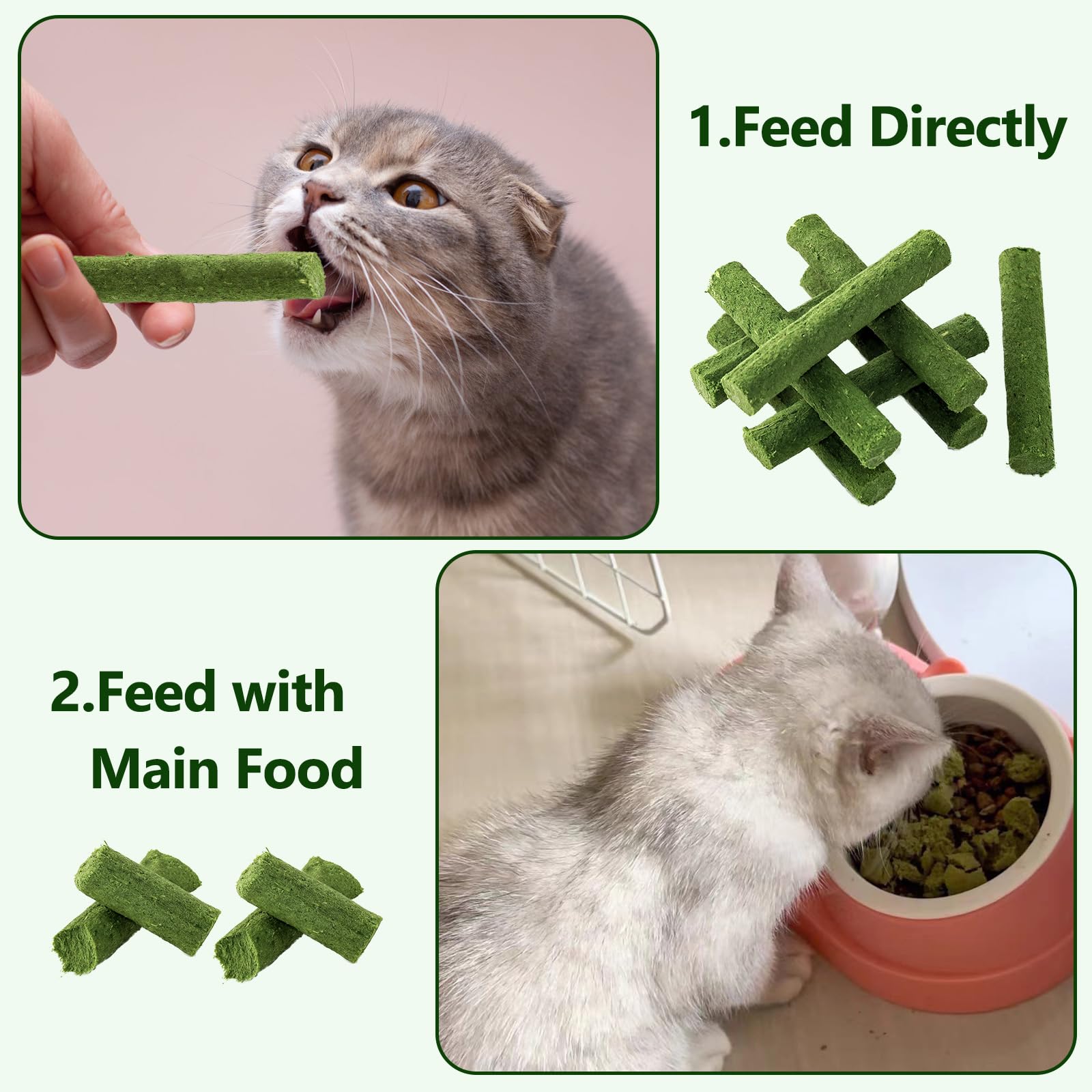 Hkpetie cat grass teething stick packaging display invites steady treats during daily routine