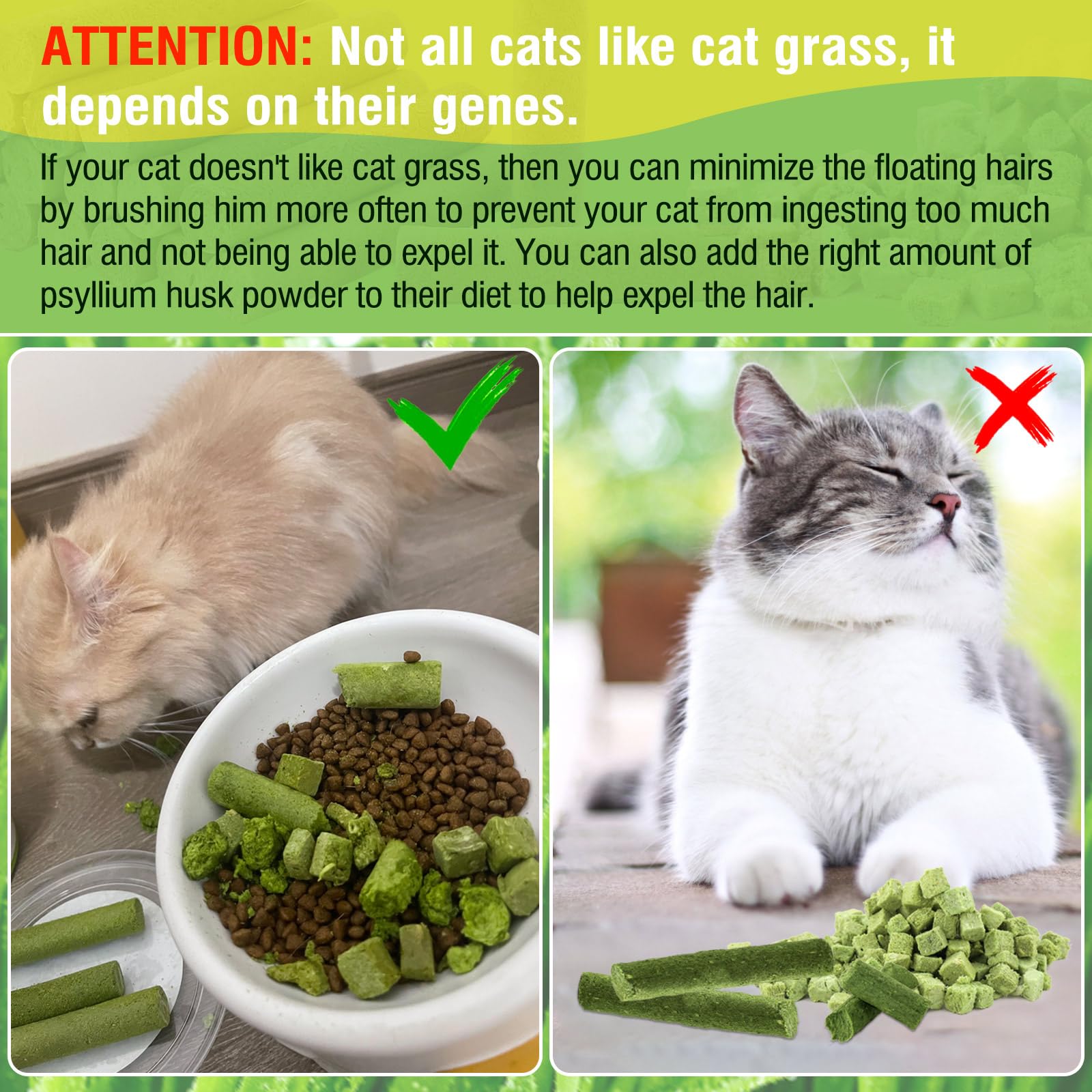 Hkpetie cat grass teething stick serving on feeder depicts easy serving during playtime