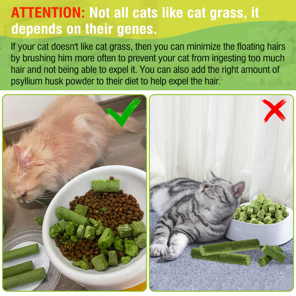 Hkpetie cat grass teething stick training use image shows treat as reward.