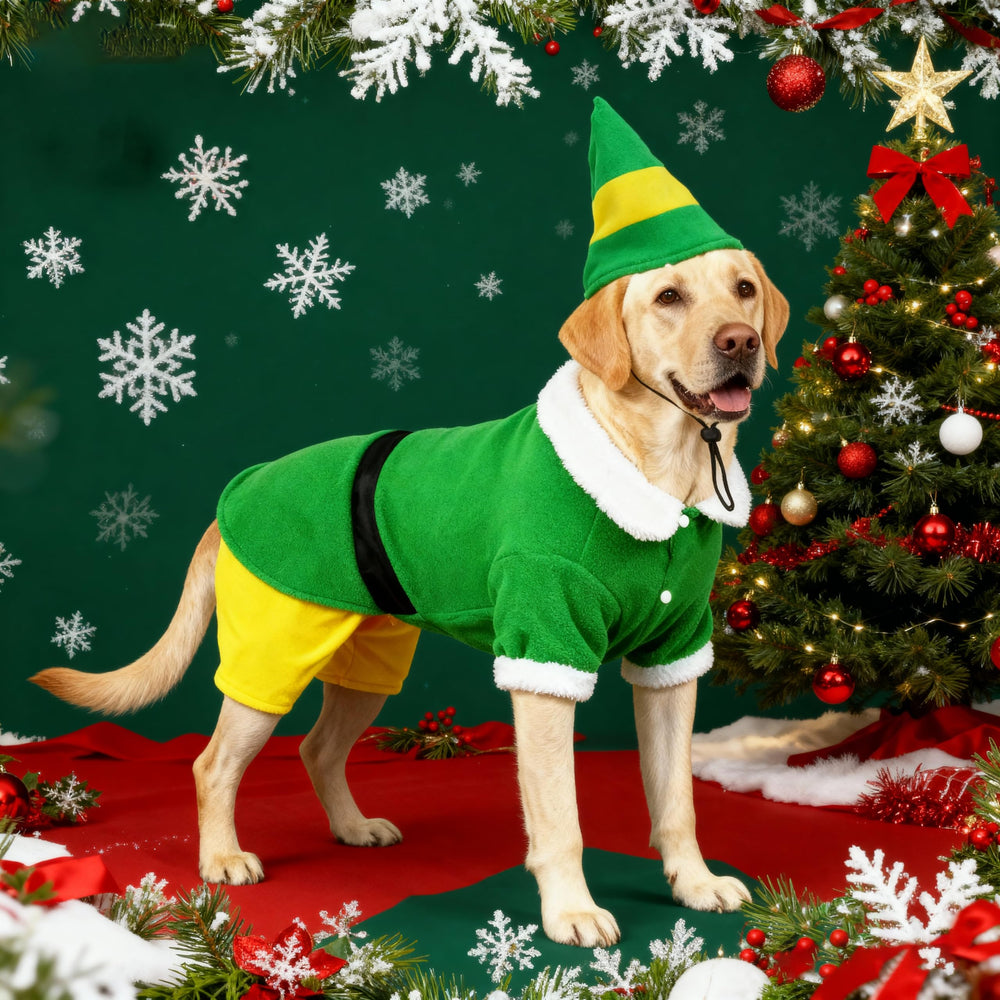 Hladce Christmas outfit perfect for parties and photo sessions with pets
