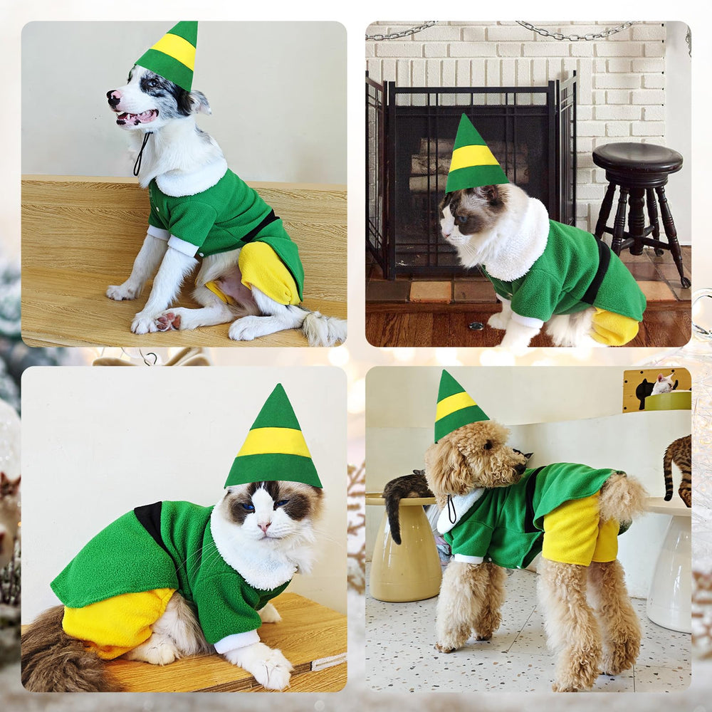 Hladce novelty green-pink elf design enhances pet party appeal