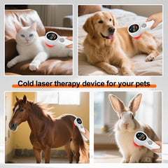 HlAiL compact cordless design ideal for indoor and outdoor pet sessions.