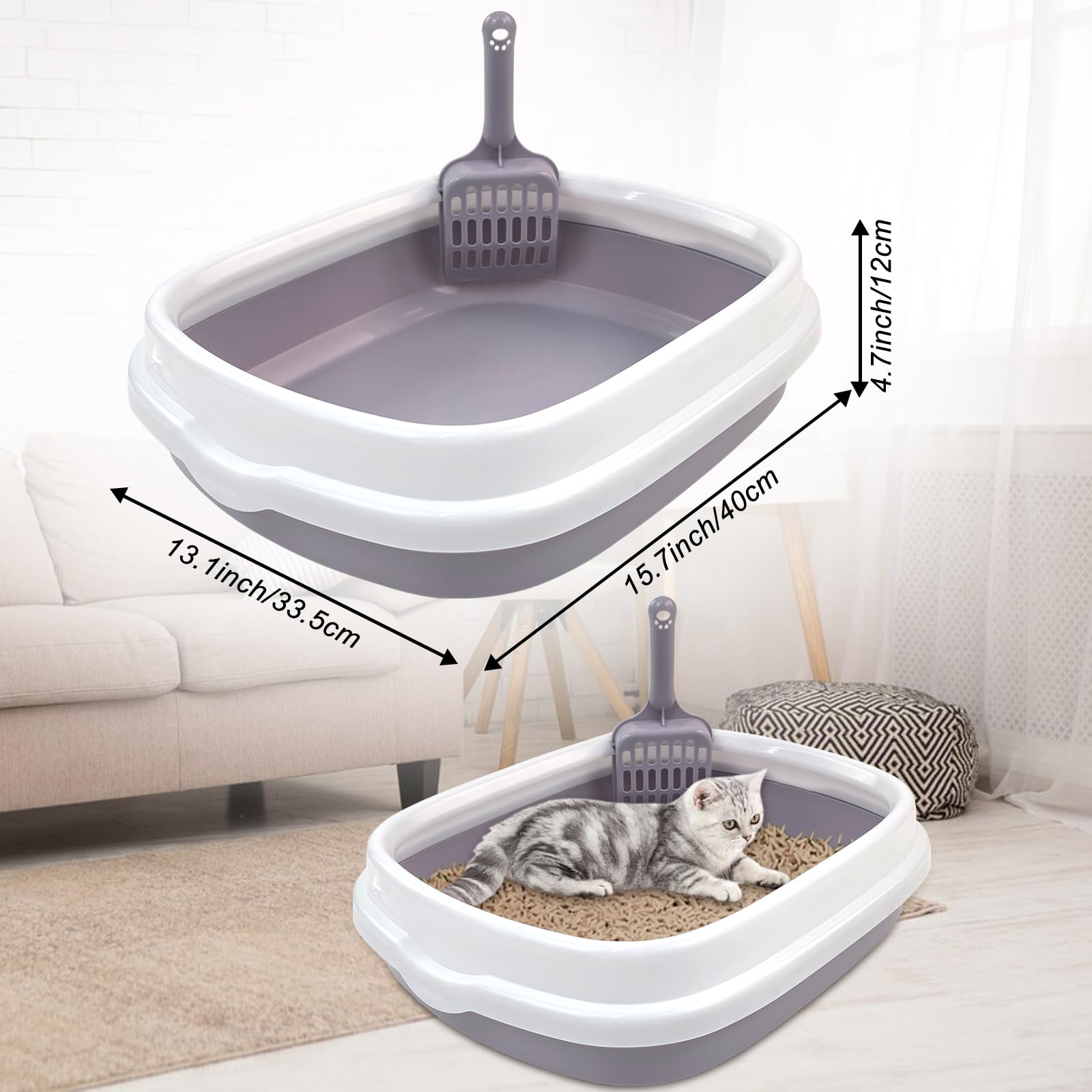 Hlimior kitten starter kit automatic bowls offer convenient hydration and feeding on schedule