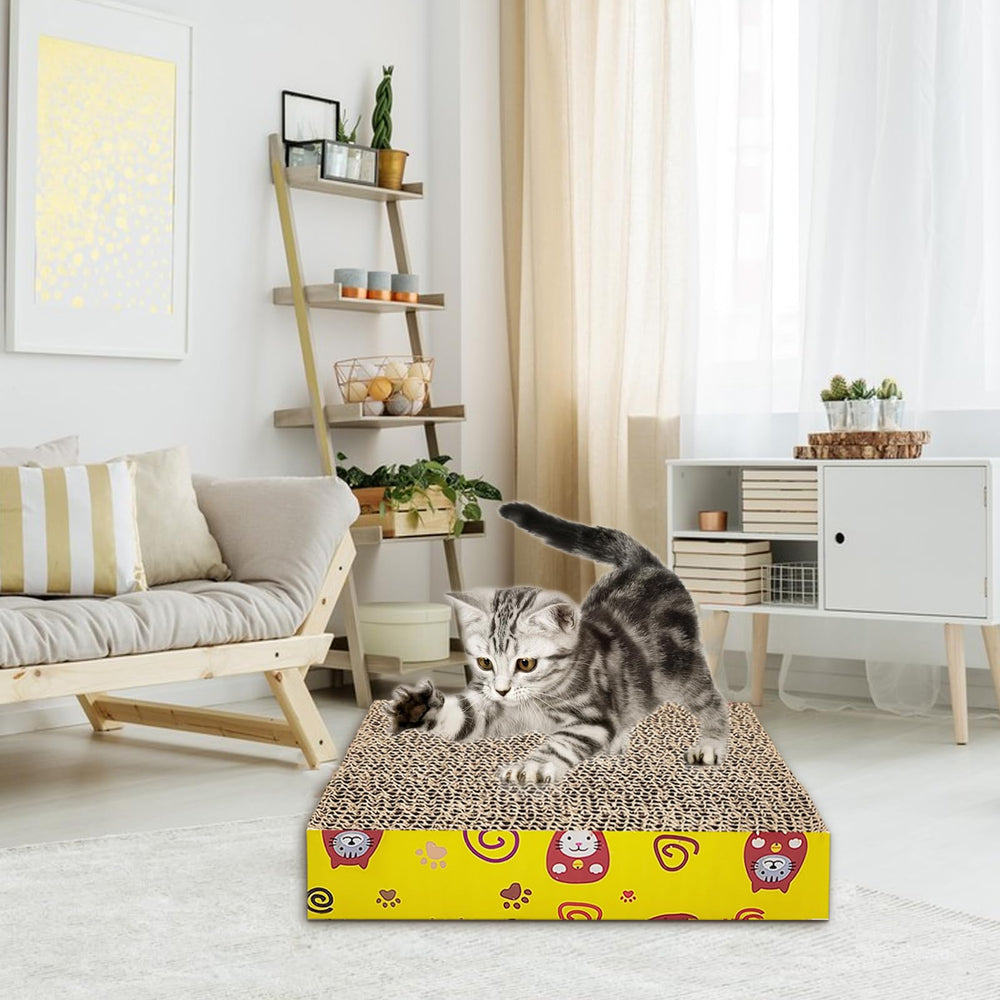 Hlimior collar helps identify and safely accessorize a new cat.
