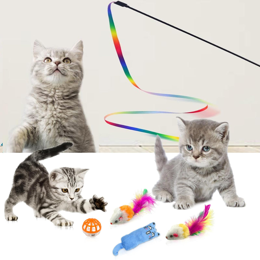 Hlimior grooming glove provides convenient brushing while bonding with your cat