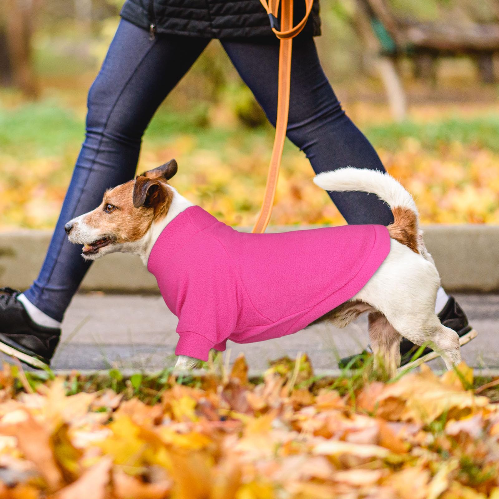 HLJ dog sweater with turtleneck detail for added warmth during walks.