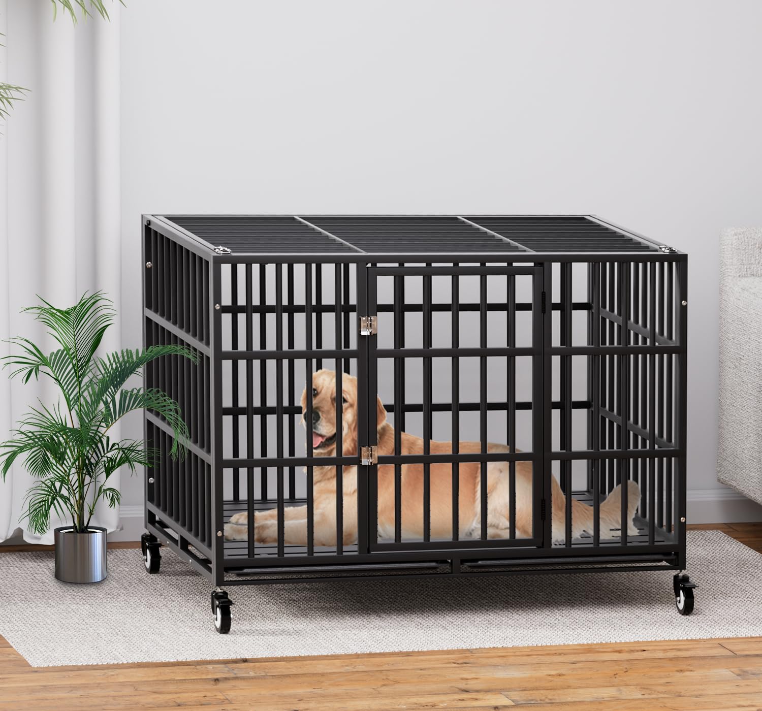 HMHTCT XL-XXL size options fit a wide range of large dogs securely