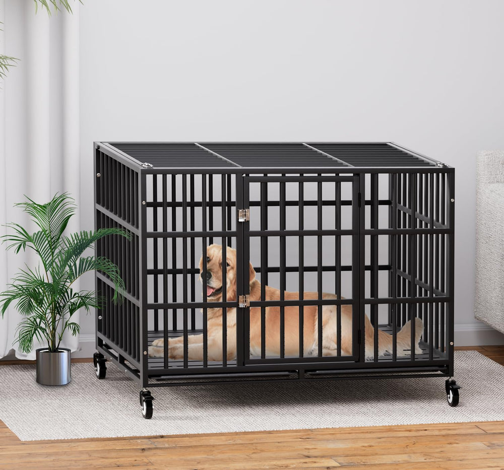 HMHTCT XL-XXL size options fit a wide range of large dogs securely