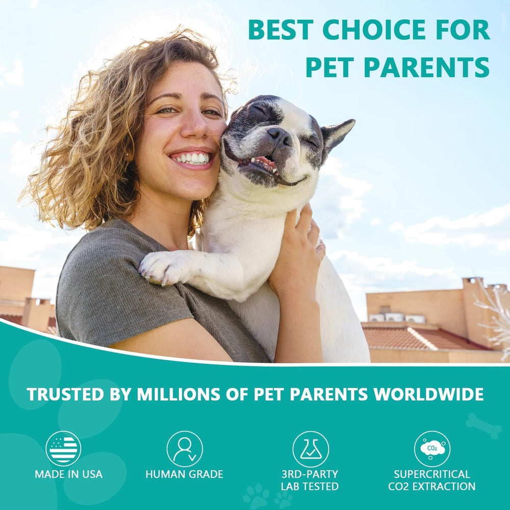 HMone dog and cat joint-muscle comfort after activity visual.