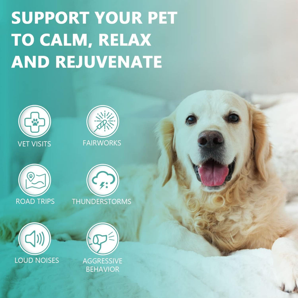 HMone dropper application demonstrating easy dosing into pet's mouth