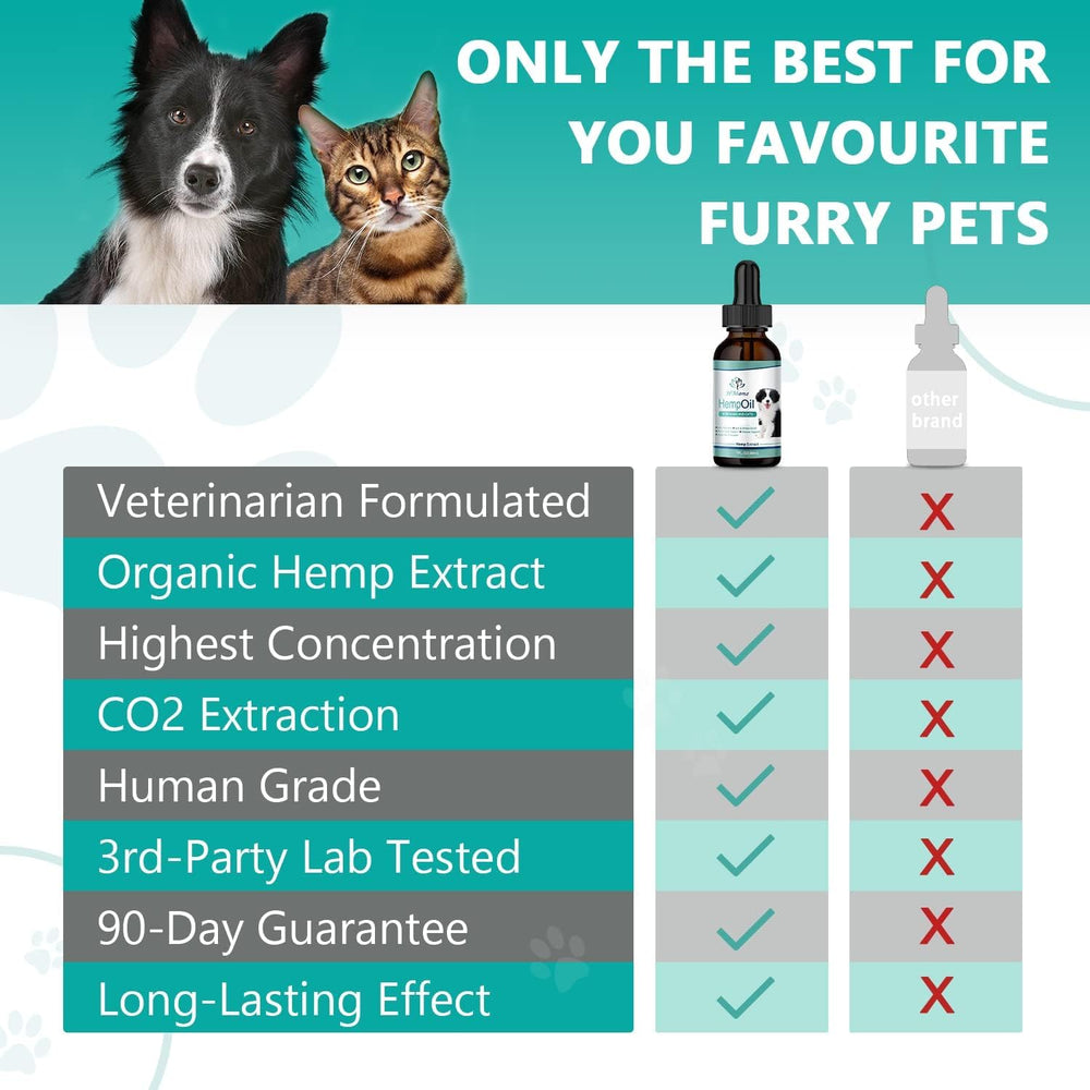 Pet food bowl with HMone hemp oil drops mixed in for routine use