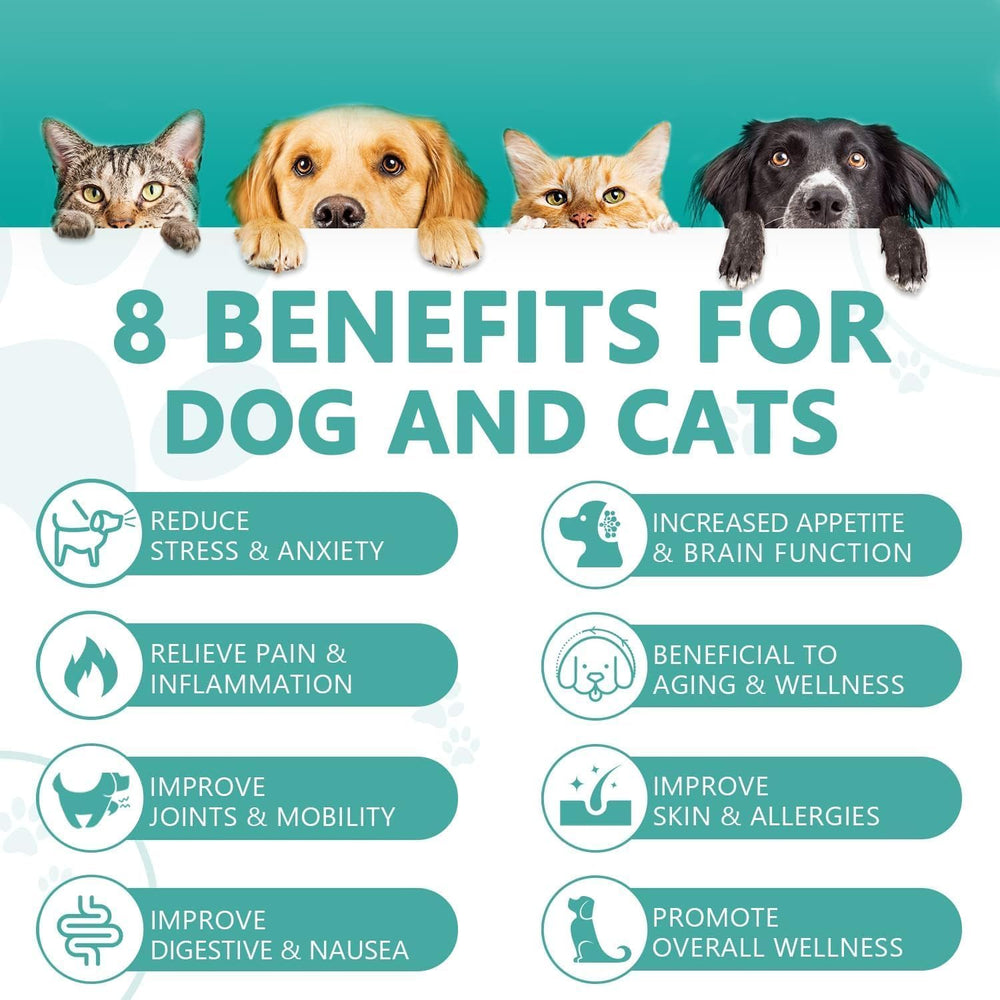 HMone pet hemp oil drops for dogs and cats shown for easy oral administration.