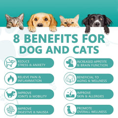 HMone pet hemp oil drops for dogs and cats shown for easy oral administration.