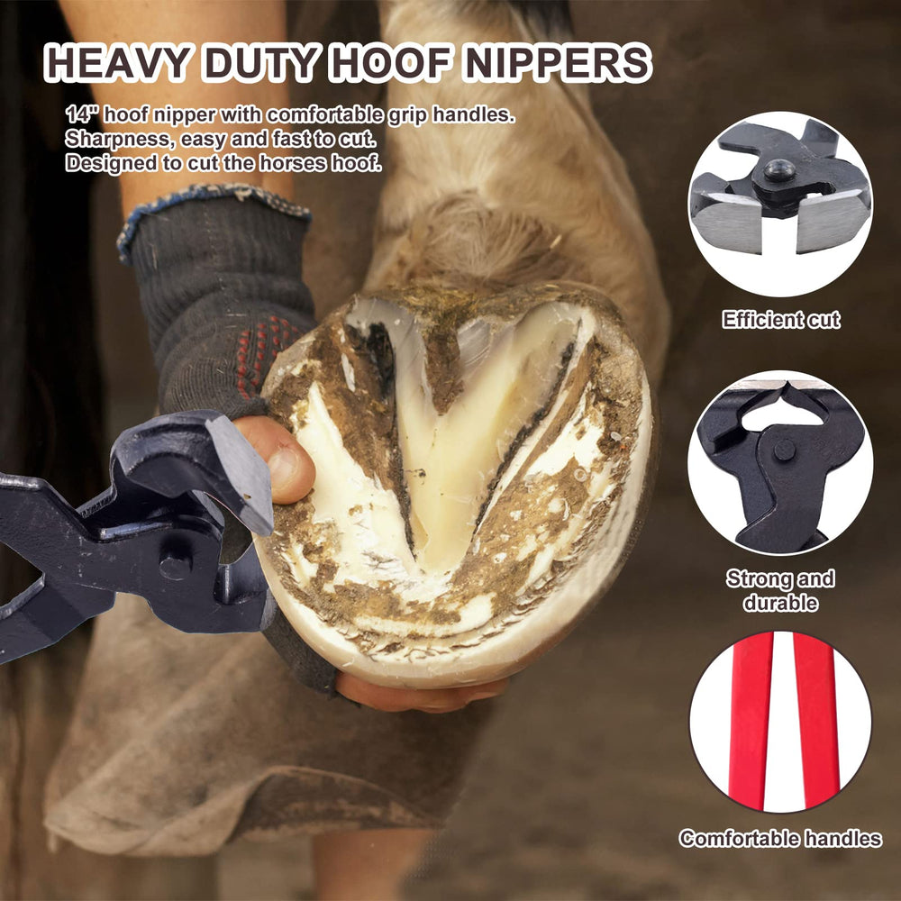 HNONPW 6-piece farrier kit offers organized storage with a durable tool set.