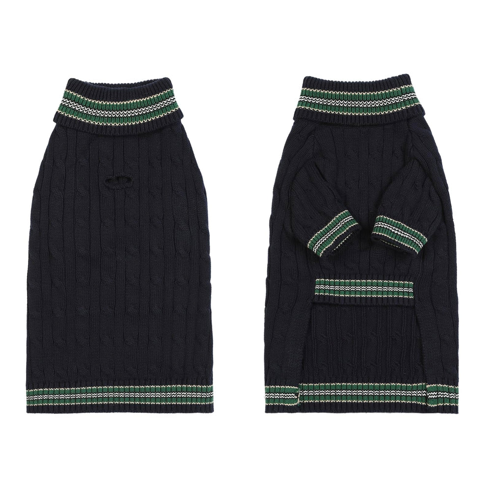 Ho Peng-iu blue dog sweater ready for holiday photos.