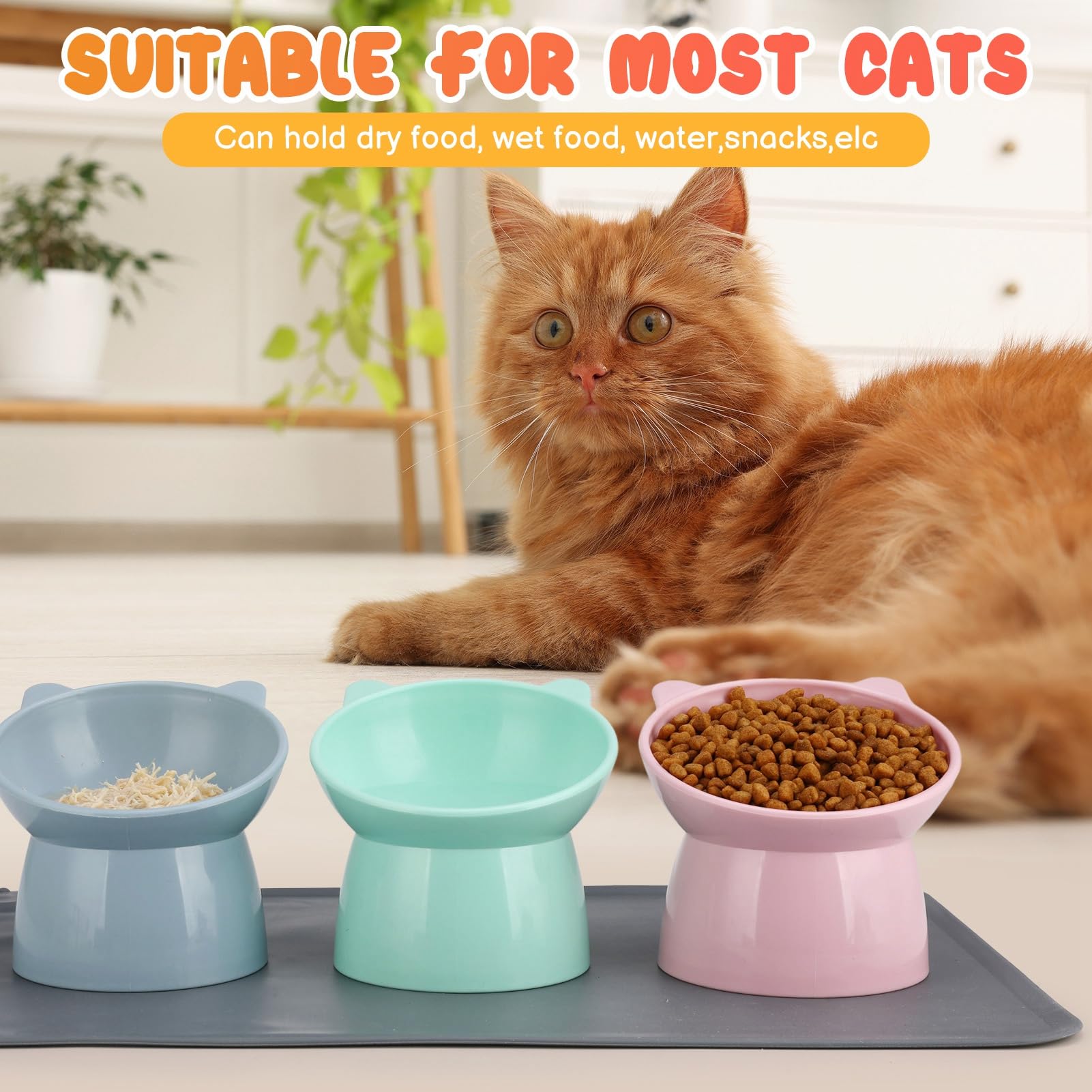 Hoemwarm bowls diameter 5.3 inches with 3.1 inch base height for balanced dining.