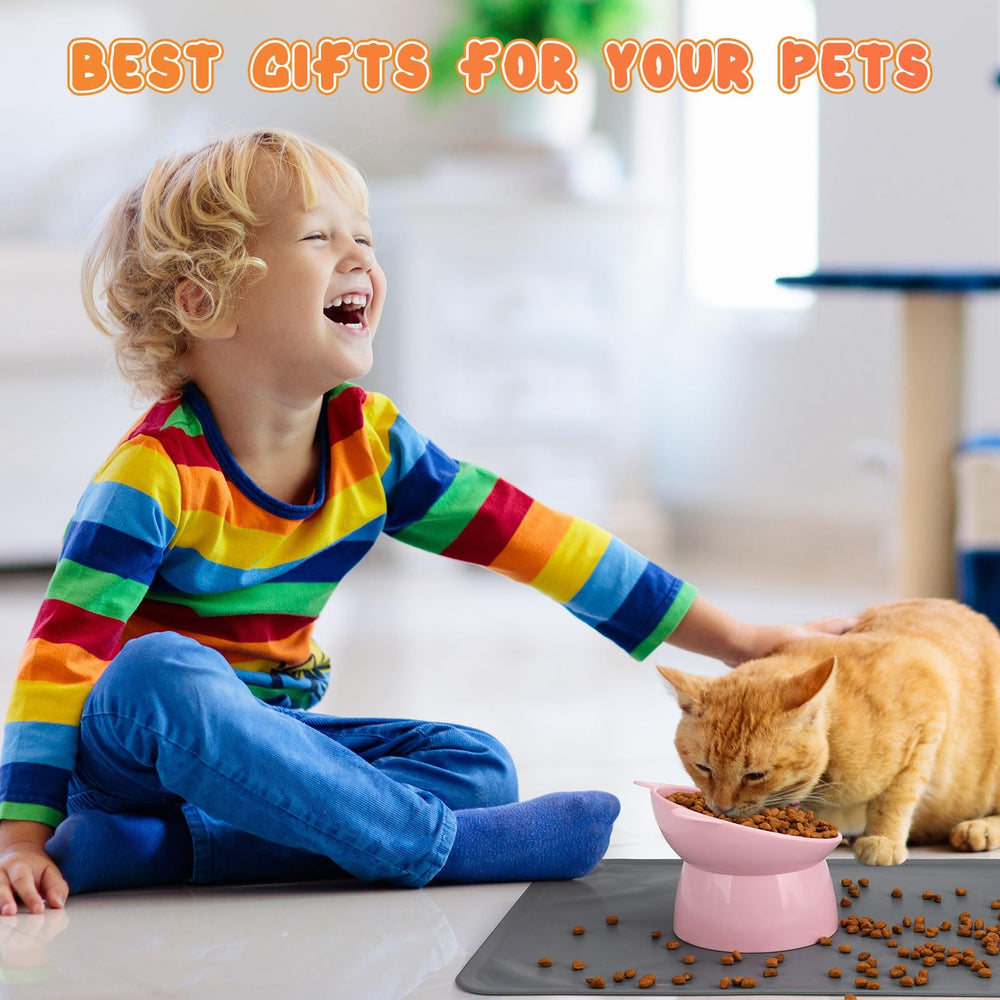 Hoemwarm whisker-friendly bowls reduce whisker contact for a comfortable mealtime.