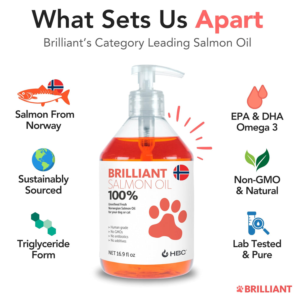 Hofseth BioCare salmon oil for dogs coat shine when mixed with meals.