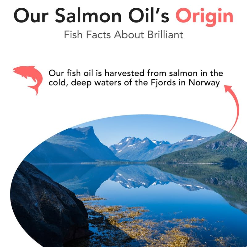Hofseth BioCare salmon oil for dogs EPA DHA rich formula for wellness.