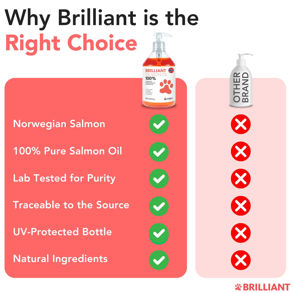 Hofseth BioCare salmon oil for dogs joint support from omega-3 fatty acids.