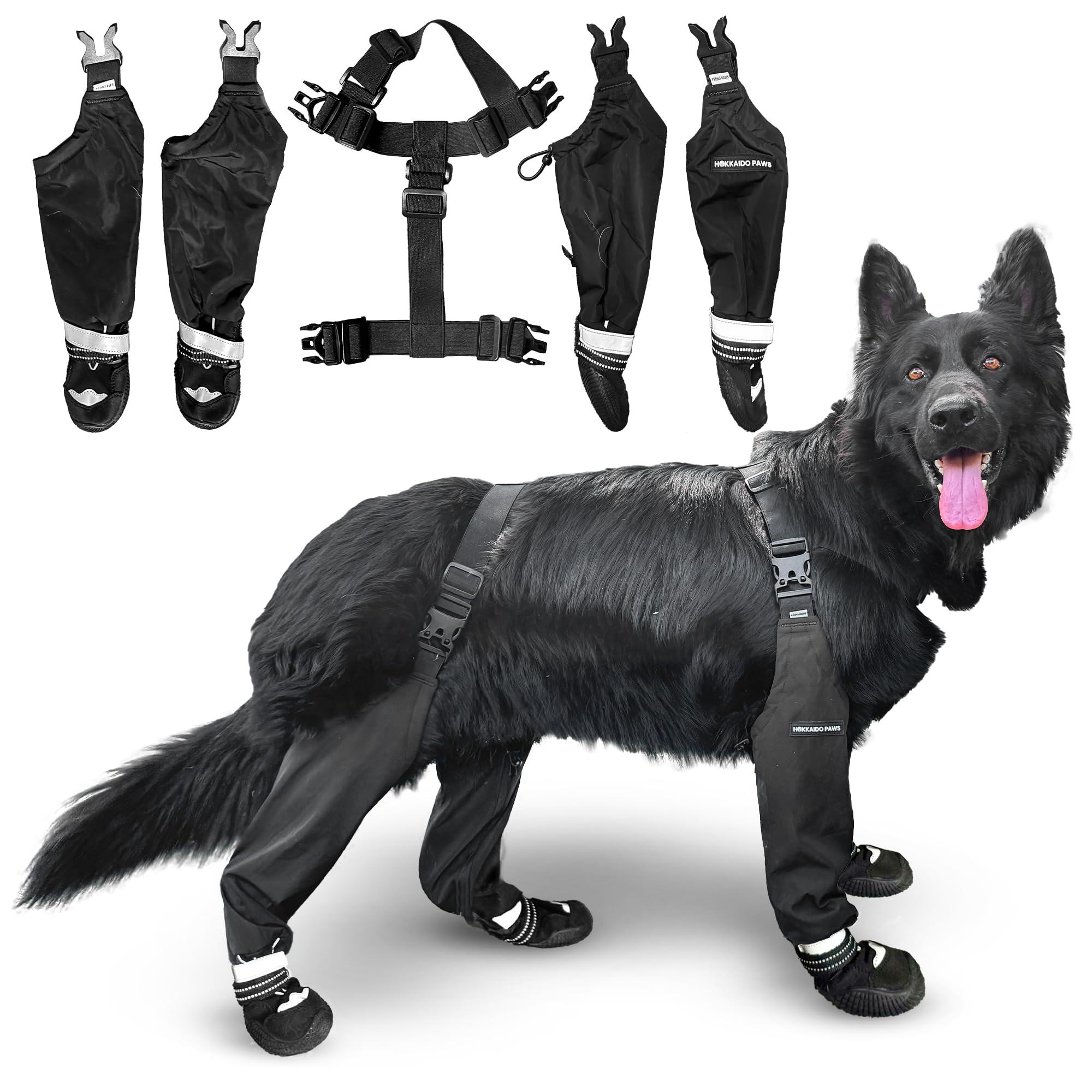Hokkaido Paws Kuma boot on a dog's paw for rugged terrain protection