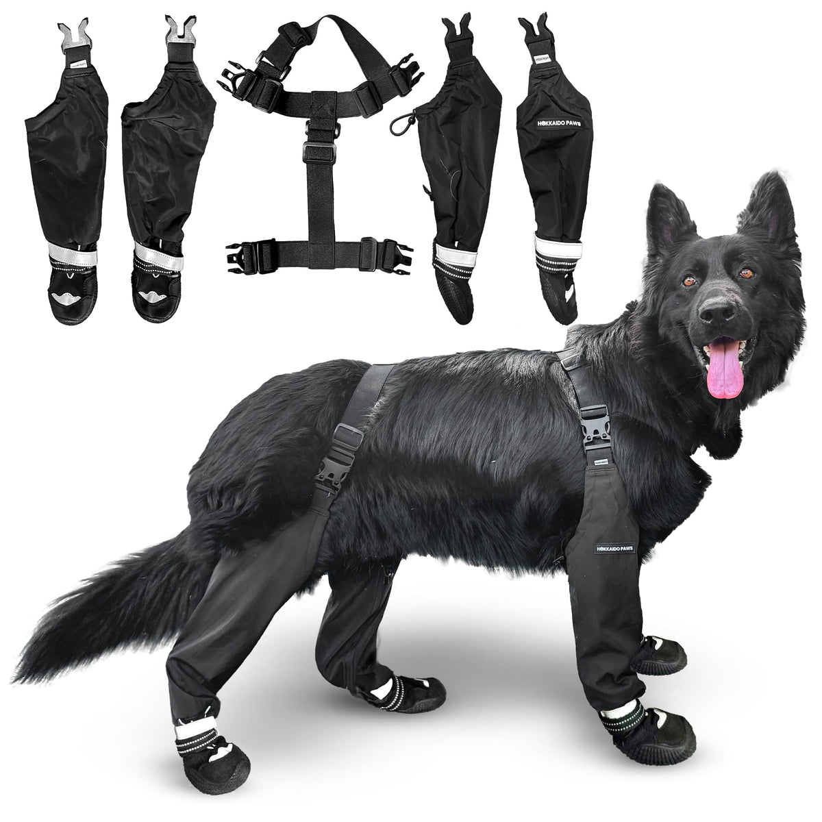 Hokkaido Paws Kuma boot on a dog's paw for rugged terrain protection
