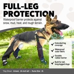 Hokkaido Paws Kuma boot showing rear zipper and suspenders for easy on/off