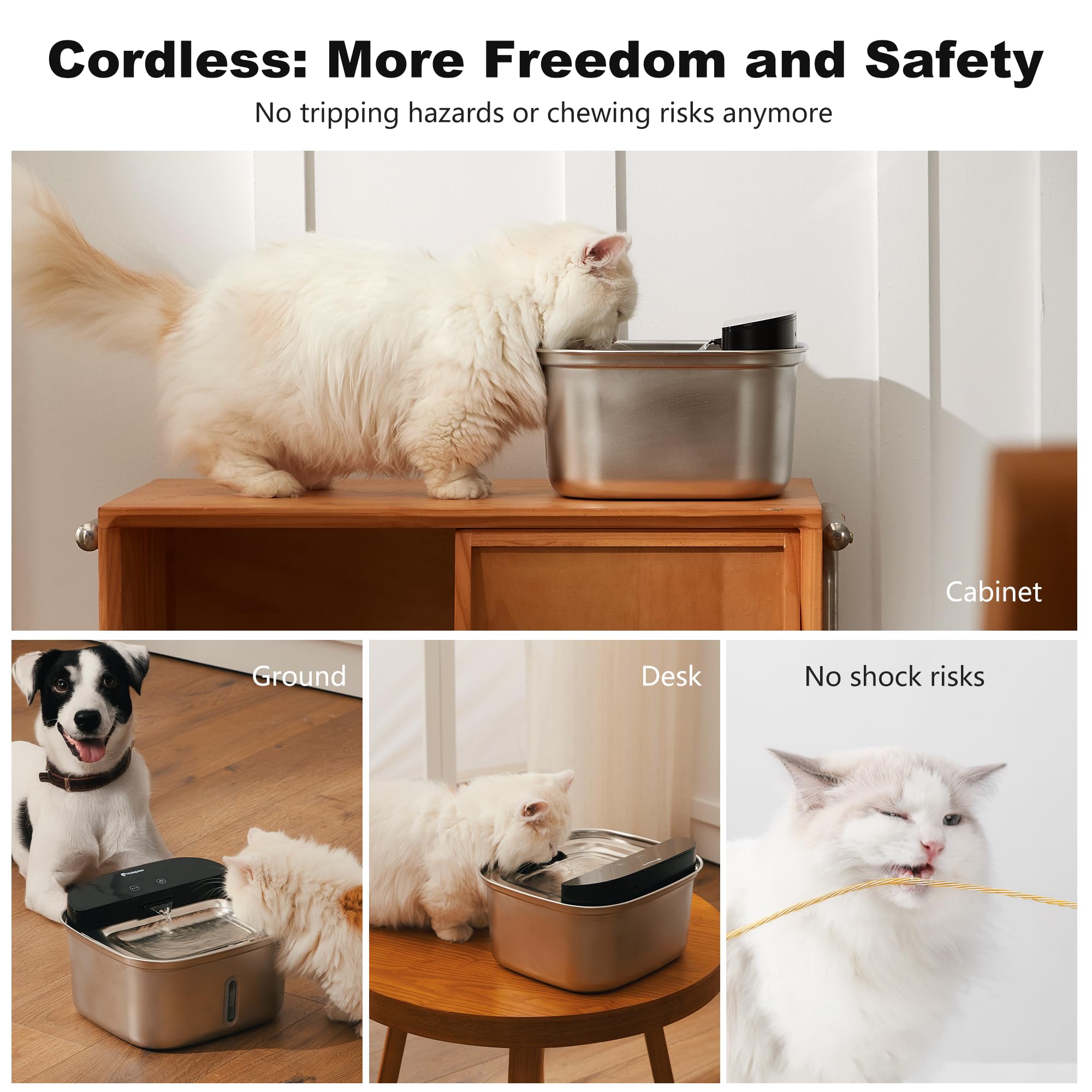 HOLAPAW motion sensor activates water to entice thirsty pets