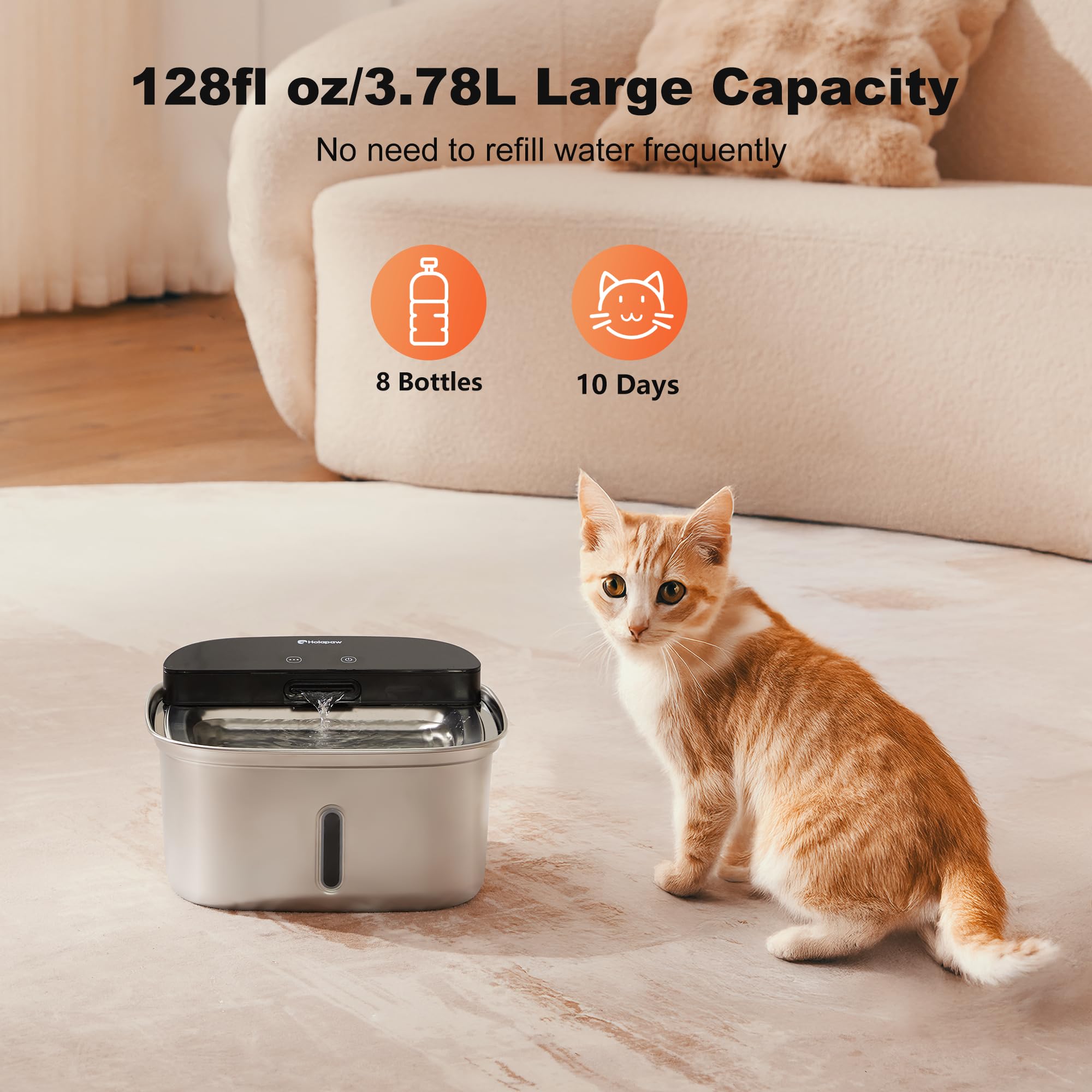 HOLAPAW stainless steel and dishwasher-safe parts simplify cleaning