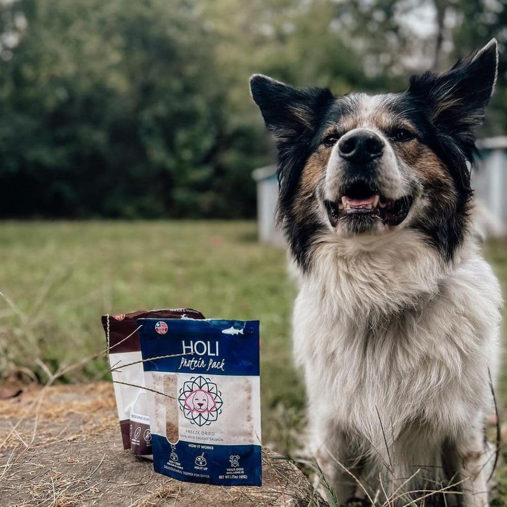 HOLI grain-free diabetic-friendly treats for dogs