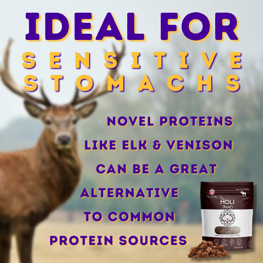 HOLI training bites for dogs ready for rewarding sessions