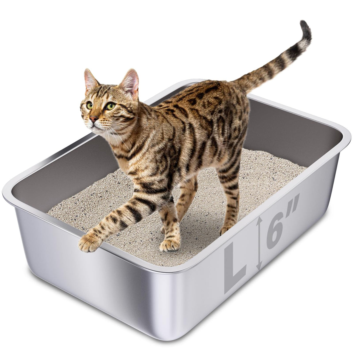 Holintan stainless steel cat litter box top view for easy cleaning and odor control