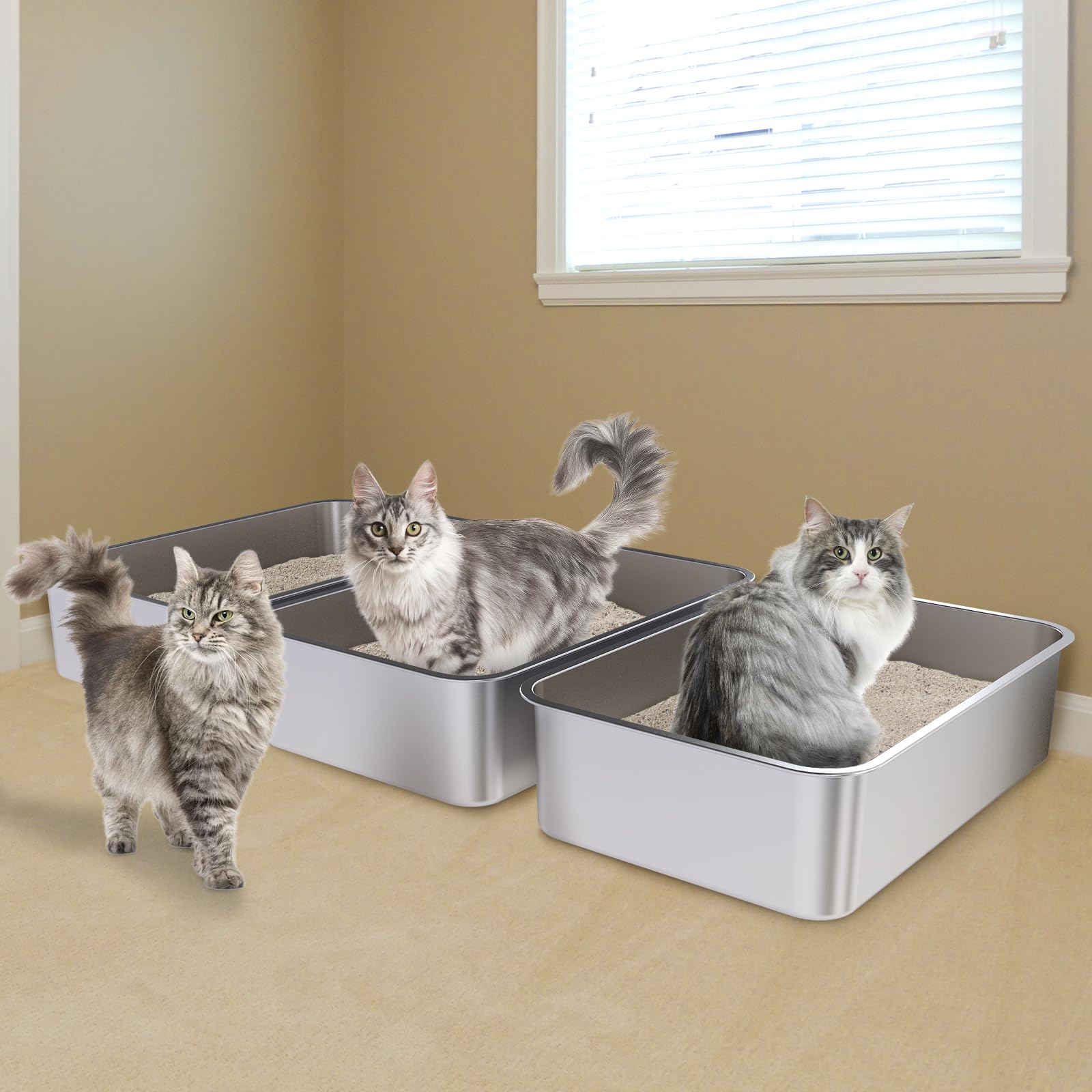 Holintan rounded corners design aids safe access for pets
