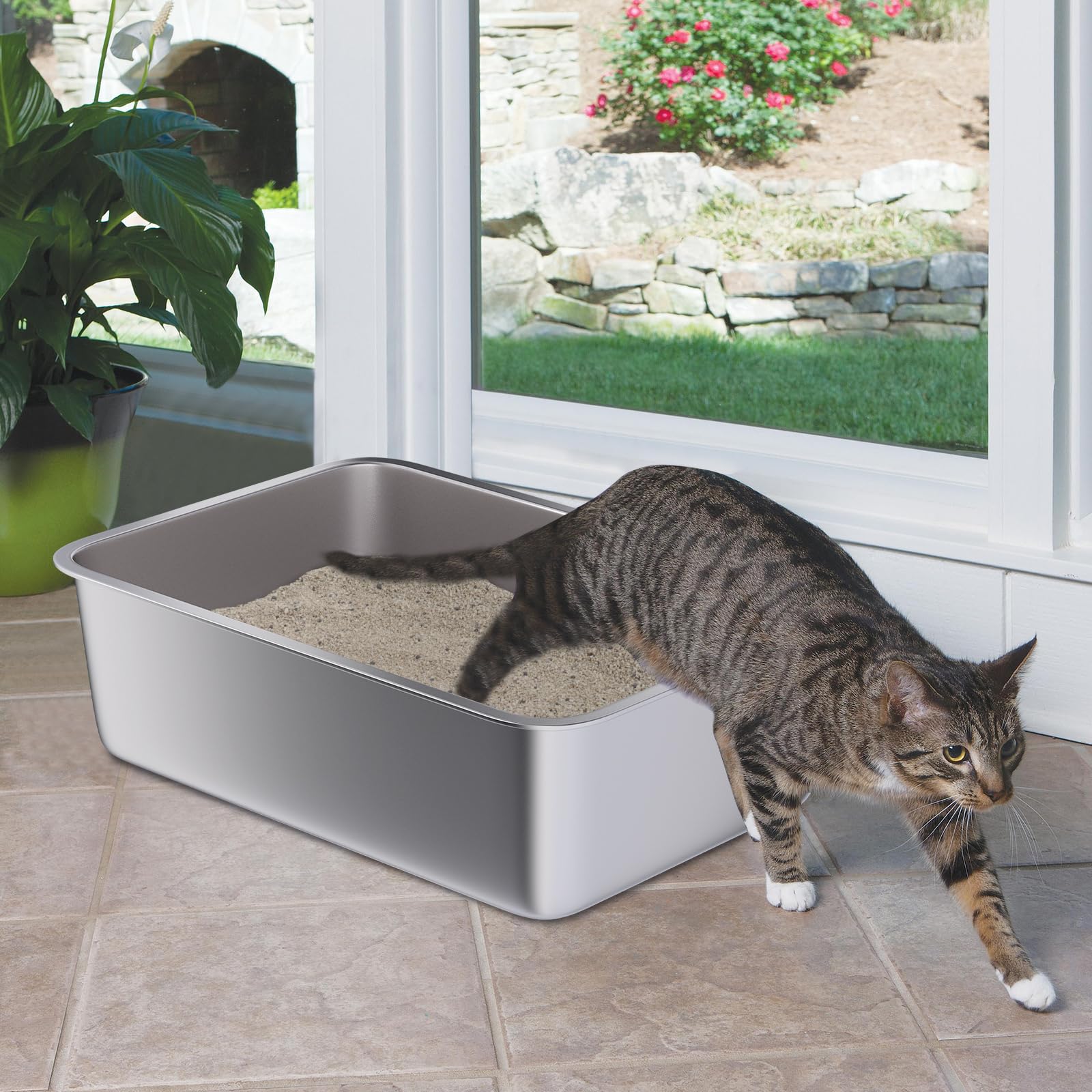 Holintan odor-minimized stainless litter box keeps smells manageable.