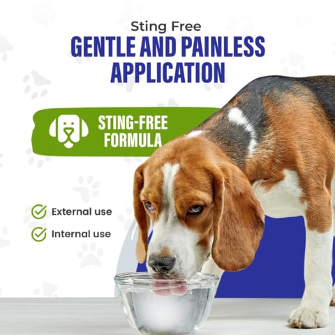 HOLISTIC PET CARE colloidal-silver-hotspots-use showcases convenient daily care for itchy or irritated areas.