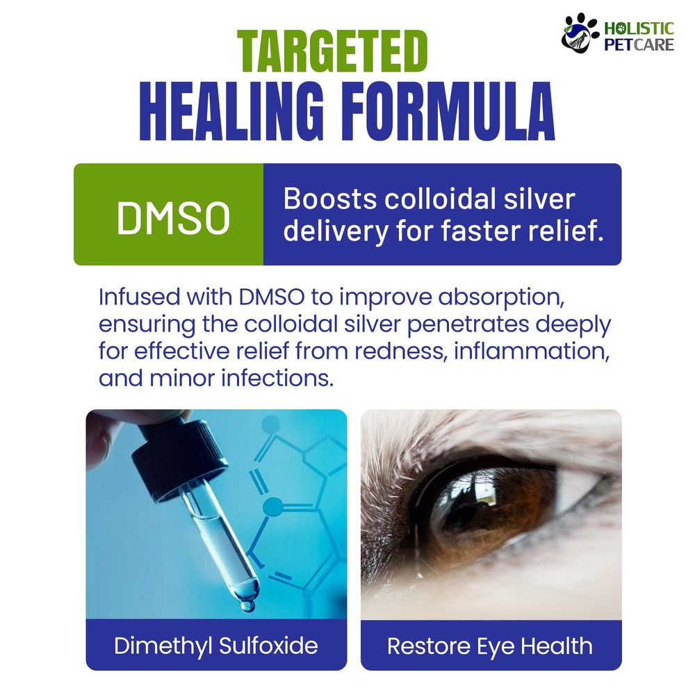 HOLISTIC PET CARE eye care routine setup with drops and castor oil