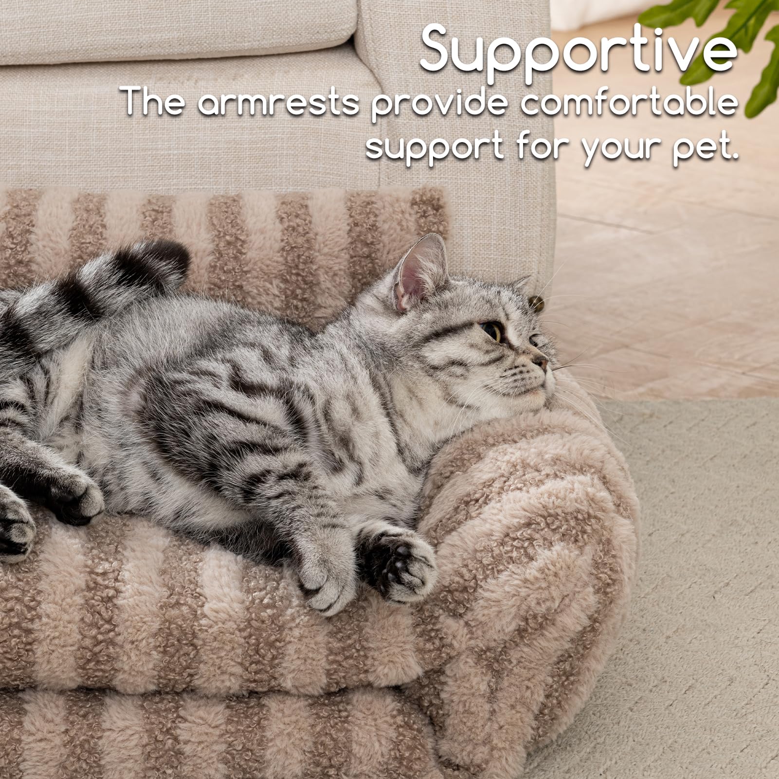 Hollypet cat bed egg-crate foam detail highlights muscle-relaxing support for pets.