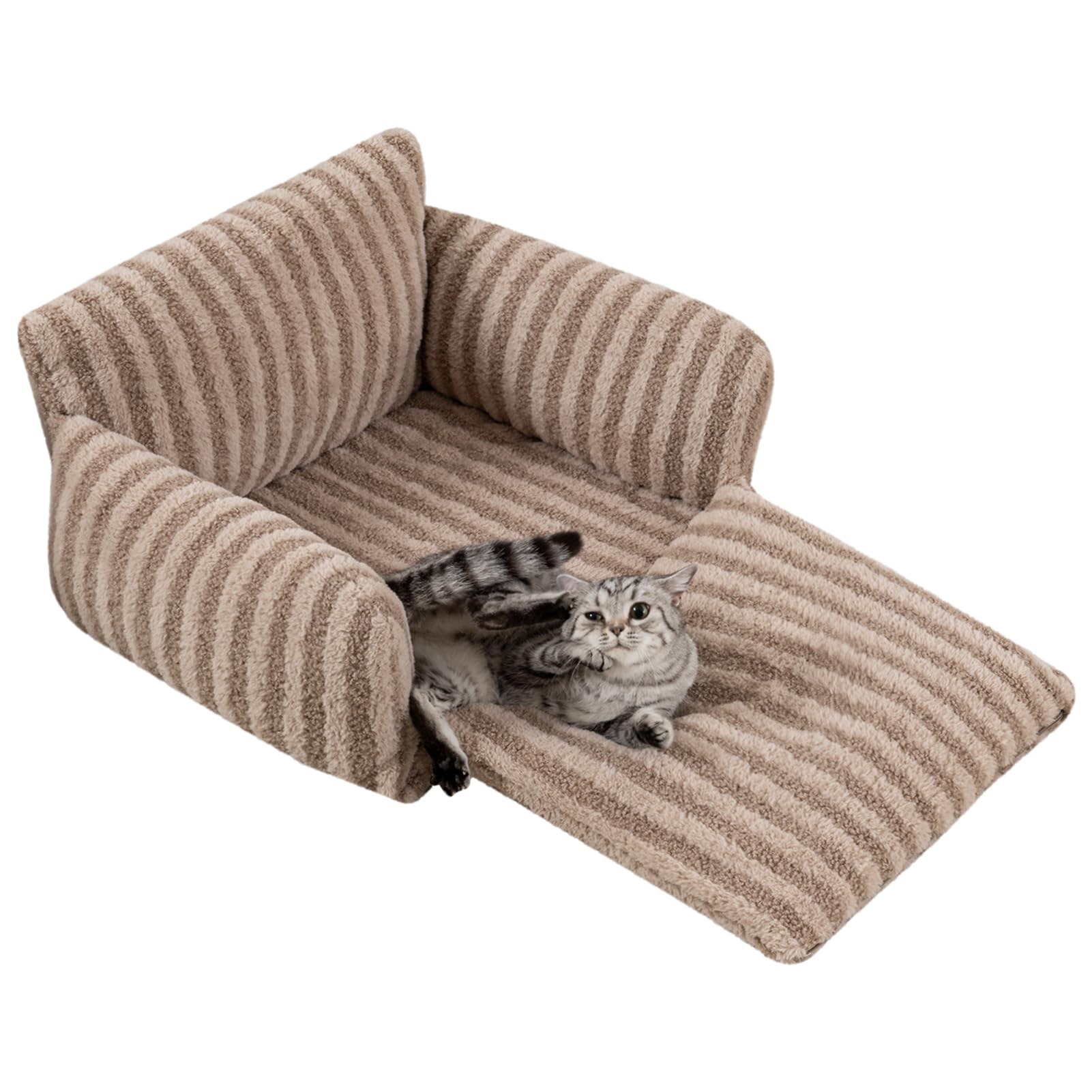 Hollypet cat bed shows egg-crate foam for gentle body support.