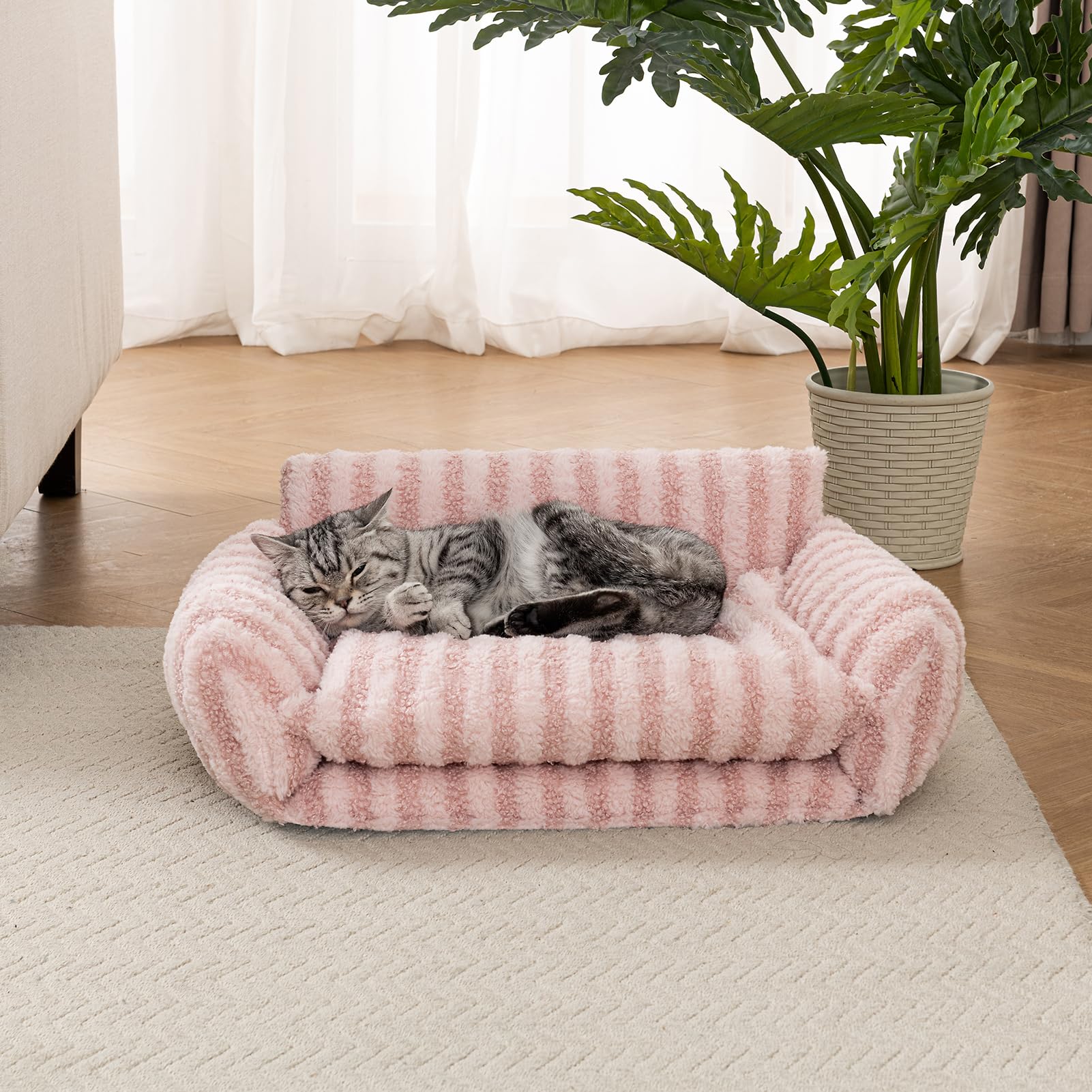 Hollypet cat bed S size reveals larger lounging area for medium-small pets
