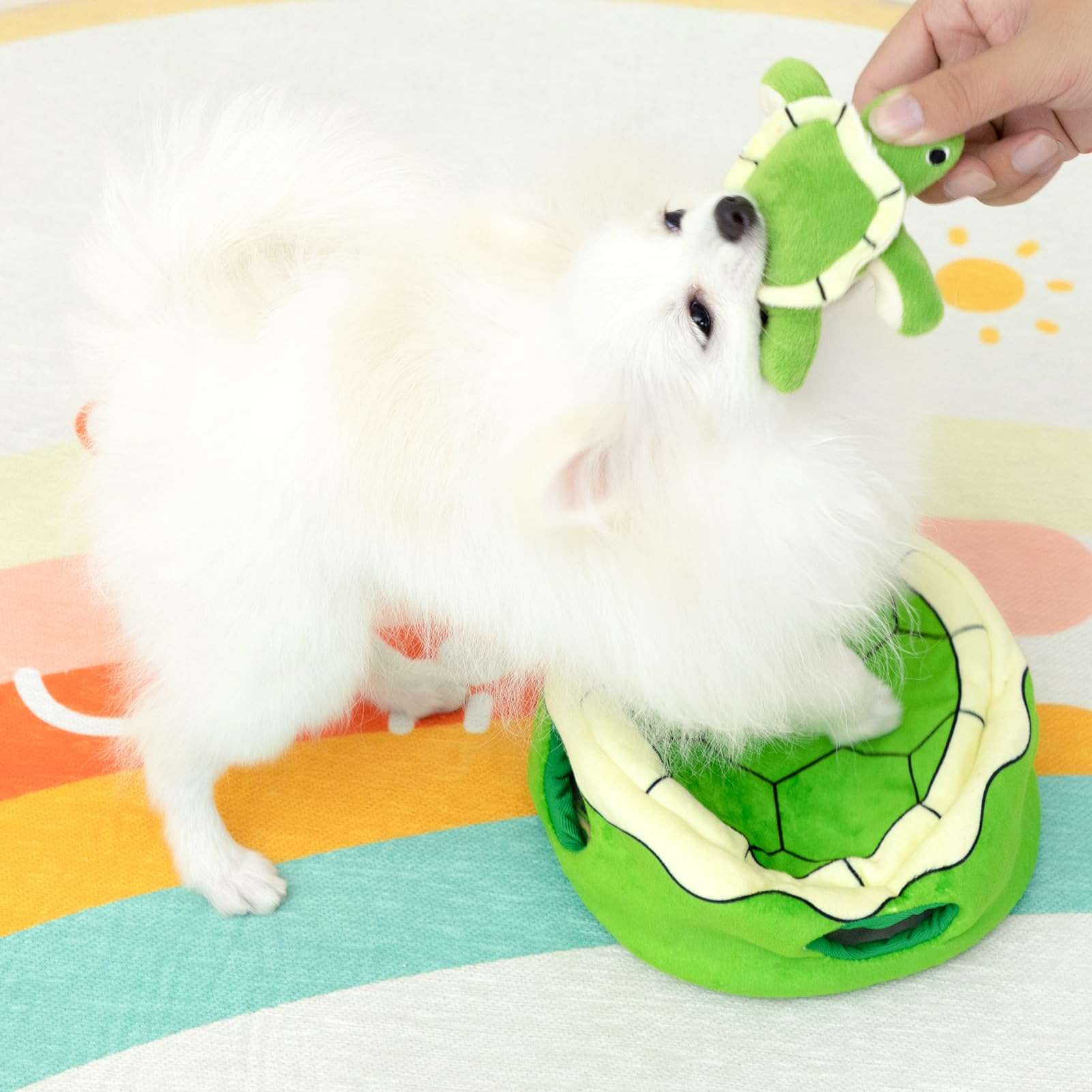 Hollypet four green turtle toys set for varied hide-and-seek play